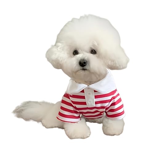 Hunde-Shirts für Kleine Hunde, Sommer Gestreifte Pet Poloshirt, Welpenkostüm Modische Kleidung für kleine Hundekatze Kleidung (Rot, XS) von Symphonyw