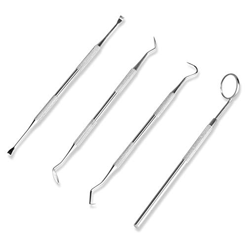 Symphonyw Calculus Stainless Steel Dog Remover, Pack of 2 Symphonyw Calculus Stainless Steel Dog Remover, Pack of 2 von Symphonyw