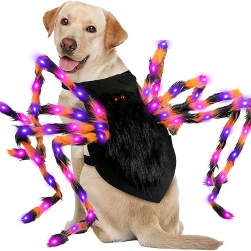 Halloween leuchtende Spinne Haustierkostüm: Verwandlungsoutfit Requisite für kleine Katzen und große Hunde von Syzplnwy