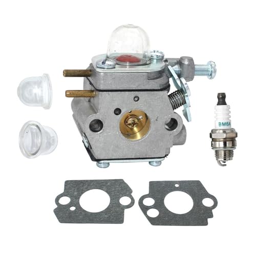 Vergaser passend for R RM2510 RM2520 RM2560 RM2570 RM2599 RM2750 RM4625 W WT-973 WT-1116 von SzNPm