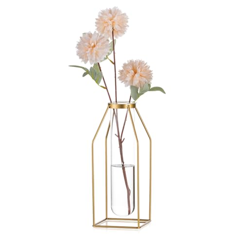 Sziqiqi Gläser Propagation Station GestellVase - Gold Modern Blumenvase Reagenzglas Vase für Pflanzen Chi Metallstaende Tulpenvase für Wohnzimmer Tischdeko Badezimmer Office von Sziqiqi