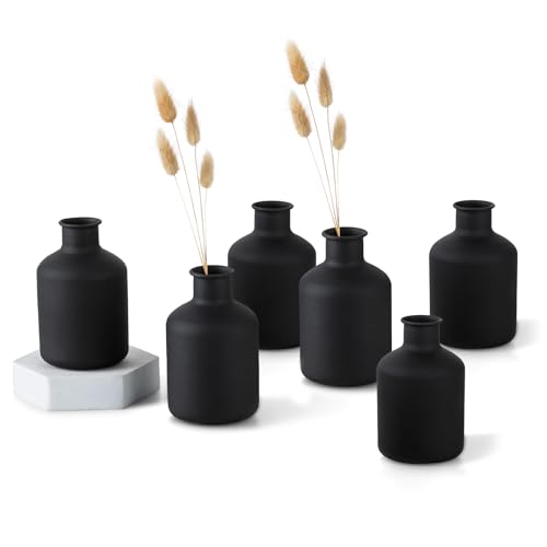 Sziqiqi Kleine Schwarze Bud Vasen: Metall Mini Blumenvase Satz von 6 Dekorative Zylinde Vasen für Trockenblumen Moderne Matt Flower Vase für Wohnzimmer Esstisch Küche Bad Schlafzimmer von Sziqiqi