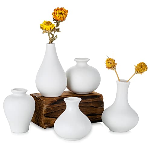 Sziqiqi Kleine Weiß Keramik Vasen 5er-Set, Mini Handmade Keramikvasen für Blumen Pampasgras Moderne Blumenvase Deko für Wohnzimmer Küche Büro Küche und Tisch von Sziqiqi