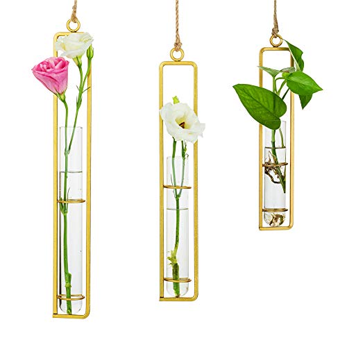 Sziqiqi Kreativer Glasvase aus Schmiedeeisen, Hängender Behälter für Wasserkultur, Hängende Flasche Reagenzglas für Blumen, Hängende Betriebsdekoration im Wohnzimmer Garten, Gold Sziqiqi Kreativer Glasvase aus Schmiedeeisen, Hängender Behälter für Wasserkultur, Hängende Flasche Reagenzglas für Blumen, Hängende Betriebsdekoration im Wohnzimmer Garten, Gold von Sziqiqi
