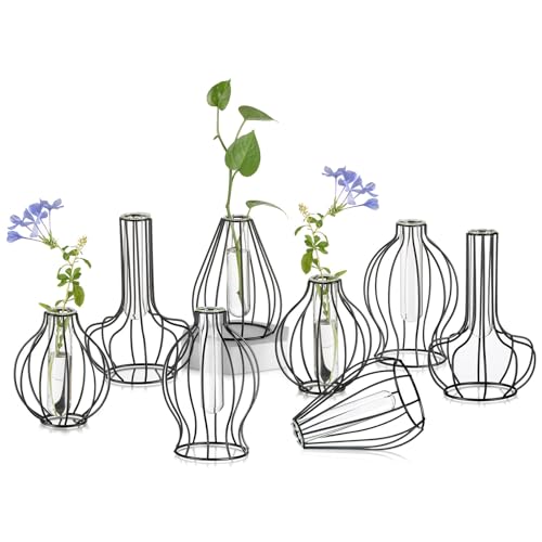 Sziqiqi Metall Geometrisch Glas Vase - Mini Schwarz Pflanzenständer Set von 8 Minimalistische Outline Blumenvasen für Hydrokultur Moderne Reagenzgläser Gestell Vasen für Tisch Wohnzimmer Schlafzimmer von Sziqiqi