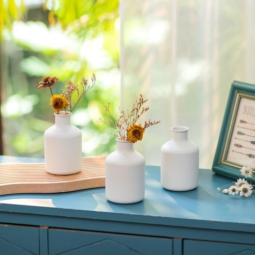 Sziqiqi Mini Weiss Bud Vasen Set - Kleine Bud Vasen für Kunstblumen 3 Pcs Nordic Design Blumenvasen für Wohnzimmer Minimalist Little Flower Vasen für Hochzeit Jahrestag Tabelle Tafelaufsatz von Sziqiqi