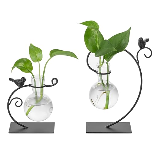 Sziqiqi Vermehrungsstation Pflanzen Glas Vase - Hydroponik Pflanzenständer Set von 2 Kleinen Terrarium Vasen mit Metall Kreative Vogel Stand Moderne Birne Vase für Wohnzimmer Tischdeko Küche Desk von Sziqiqi