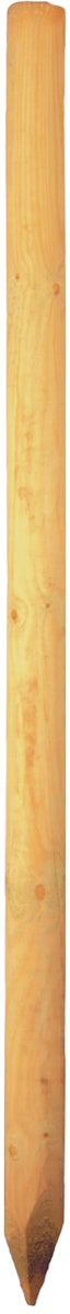 T&J Baumpfahl Kiefer/Fichte Kesseldruckimprägniert Grün 100 mm 2500 mm T&J Baumpfahl Kiefer/Fichte Kesseldruckimprägniert Grün 100 mm 2500 mm von T&J