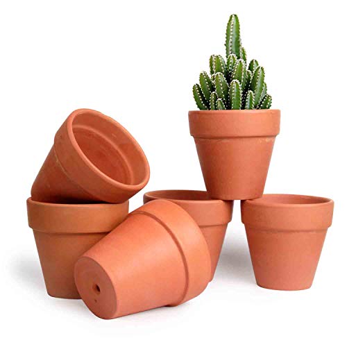 T4U Tontöpfe 10cm, Künstliche Terrakotta Sukkulenten Topf, Tontopf Klein Zum Basteln, Runde Terracotta Blumentöpfe, Mini Kakteen Töpfe für Büro, Balkon, Wohnzimmer und Pflanzen Deko Übertopf, 6er Set von T4U