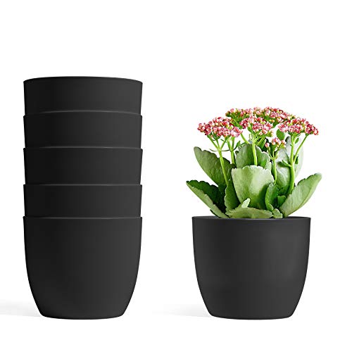 T4U 12cm Selbstwässernder Blumentopf 6er-Set, Blumentopf mit Bewässerungssystem für Innen und Draussen, Übertopf für Orchideen und Basilikum Selbstbewässerungstopf, Schwarz von T4U