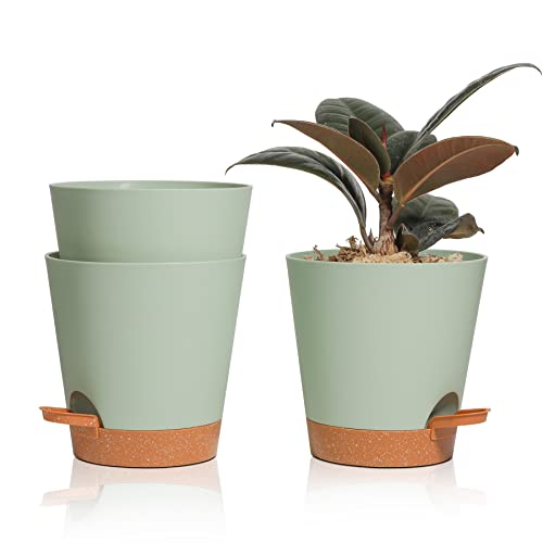 T4U 14cm Blumentopf mit Selbstbewässerung, 3er-Set Blumentopf mit Untersetzer, ideal für Innen- und Balkongärten, Sukkulenten, Kakteen und Pflanzen, Grün von T4U