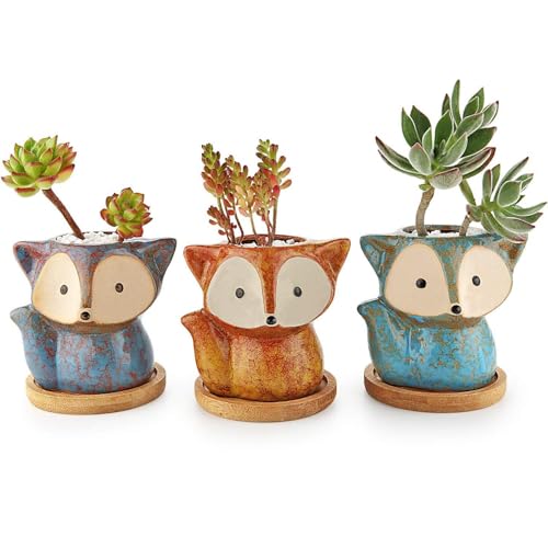 T4U Fuchs Sukkulenten Töpfe Keramik mit Untersetzer 3er-Set Blumentopf Klein für Mini-Pflanzen von T4U