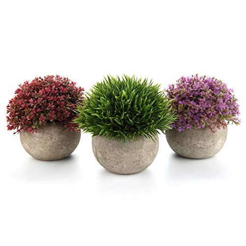 T4U Kunstpflanze Künstliche Blumen Gras Bonsai mit Topf Grün Rot Lila 3er-Set klein, Zuhause Wohnung Büro Dekor Hochzeit Geburtstag Weihnachten Geschenk von T4U