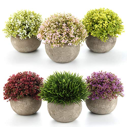T4U Künstliche Sukkulenten im Topf, Mini-gefälschte Bunte lebensechte Blumen in Töpfen für Zuhause, Kunstpflanze, Sukkulenten Künstlich, Desktop-Fensterbank, Büro, Hochzeitsdekoration, 6er-Set T4U Künstliche Sukkulenten im Topf, Mini-gefälschte Bunte lebensechte Blumen in Töpfen für Zuhause, Kunstpflanze, Sukkulenten Künstlich, Desktop-Fensterbank, Büro, Hochzeitsdekoration, 6er-Set von T4U