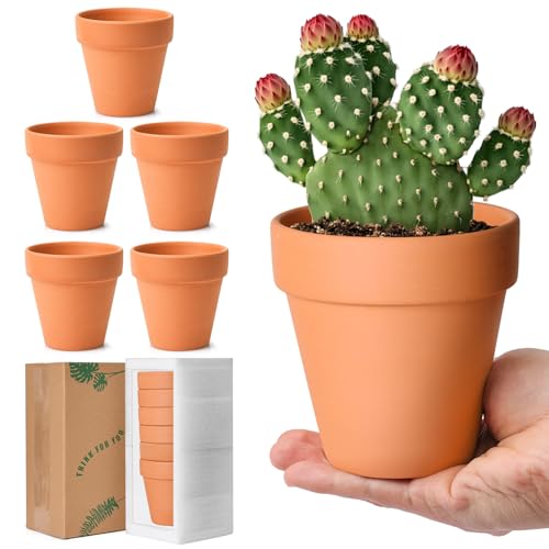 T4U Tontöpfe 10cm, Künstliche Terrakotta Sukkulenten Topf, Tontopf Klein Zum Basteln, Runde Terracotta Blumentöpfe, Mini Kakteen Töpfe für Büro, Balkon, Wohnzimmer und Pflanzen Deko Übertopf, 6er Set von T4U