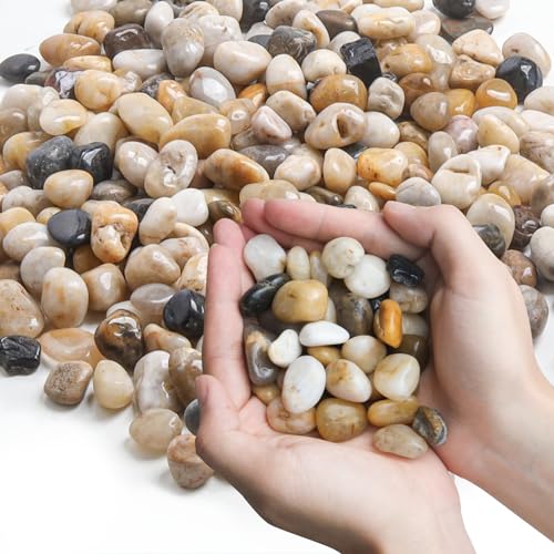 T4U Trommelsteine für Aquarium kies 3LB, Kieselsteine Garten für Aquarium Blumentopf Deko Sand Steine, Unregelmäßig Geformte Aquarium Steine Natur Kristall Achat dekosteine für vasen Sukkulenten DIY von T4U