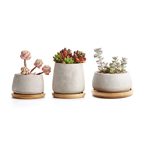 T4U Zement Sukkulenten Töpfchen mit Untersetzer Rund 3er-Set, Beton Mini Blumentopf für Kaktus Miniaturpflanzen von T4U