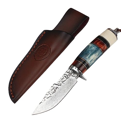 TABKER Messer OutdoorKnife feststehende Klinge VG-10 Damaskusstahl Kleines gerades Messer Schmieden und Schmieden Schneidwerkzeuge für den Außenbereich Wild Bowie Messer von TABKER