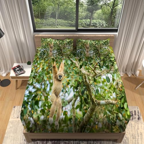 TACOKI 3D AFFE Spannbettlaken 120x200cm, AFFE Weiches Mikrofaser Bettlaken für Kinder, Bettlaken Spannbetttuch 120x200 bis 30 cm Matratzenhöhe mit 2 kissenbezüge 4602v TACOKI 3D AFFE Spannbettlaken 120x200cm, AFFE Weiches Mikrofaser Bettlaken für Kinder, Bettlaken Spannbetttuch 120x200 bis 30 cm Matratzenhöhe mit 2 kissenbezüge 4602v von TACOKI