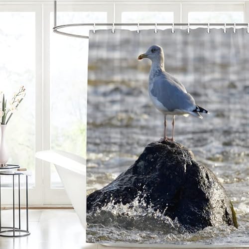 TACOKI 3D Duschvorhang 120x180 Möwe Duschvorhang Möwe Bad Vorhang Antischimmel Wasserdicht Duschvorhänge Textil Polyester für Badezimmer Badewannen mit 8 Haken b4558 von TACOKI
