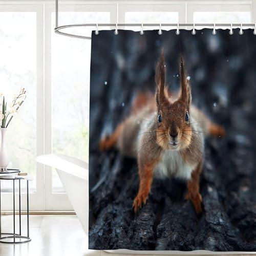TACOKI 3D Duschvorhang 120x200 Eichhörnchen Duschvorhang Eichhörnchen Bad Vorhang Antischimmel Wasserdicht Duschvorhänge Textil Polyester für Badezimmer Badewannen mit 8 Haken b4587 von TACOKI