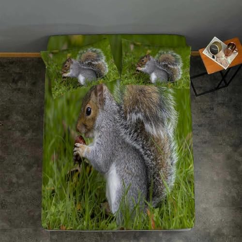 TACOKI 3D Eichhörnchen Spannbettlaken 140x200cm, Eichhörnchen Weiches Mikrofaser Bettlaken für Kinder, Bettlaken Spannbetttuch 140x200 bis 30 cm Matratzenhöhe mit 2 kissenbezüge 4505v TACOKI 3D Eichhörnchen Spannbettlaken 140x200cm, Eichhörnchen Weiches Mikrofaser Bettlaken für Kinder, Bettlaken Spannbetttuch 140x200 bis 30 cm Matratzenhöhe mit 2 kissenbezüge 4505v von TACOKI