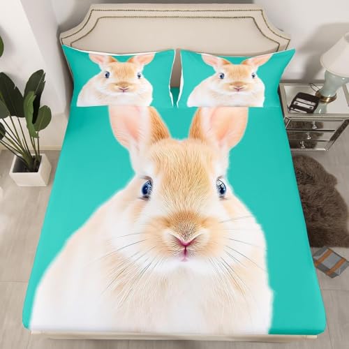 TACOKI 3D Kaninchen Spannbettlaken 140x200cm, Tiere Weiches Mikrofaser Bettlaken für Kinder, Bettlaken Spannbetttuch 140x200 bis 30 cm Matratzenhöhe mit 2 kissenbezüge 4526v TACOKI 3D Kaninchen Spannbettlaken 140x200cm, Tiere Weiches Mikrofaser Bettlaken für Kinder, Bettlaken Spannbetttuch 140x200 bis 30 cm Matratzenhöhe mit 2 kissenbezüge 4526v von TACOKI