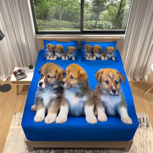 TACOKI 3D Süßer Hund Spannbettlaken 120x200cm, Hund Weiches Mikrofaser Bettlaken für Kinder, Bettlaken Spannbetttuch 120x200 bis 30 cm Matratzenhöhe mit 2 kissenbezüge 4672v TACOKI 3D Süßer Hund Spannbettlaken 120x200cm, Hund Weiches Mikrofaser Bettlaken für Kinder, Bettlaken Spannbetttuch 120x200 bis 30 cm Matratzenhöhe mit 2 kissenbezüge 4672v von TACOKI