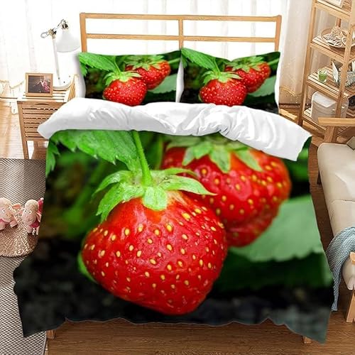 TACOKI Bettwäsche 155x220 Erdbeere, 3D Muster Obst Bettwäsche Set Weich Kuschelig Mikrofaser Bettbezug mit Reißverschluss Bettbezüge + 2 Kissenbezug 80x80 cm q1671 von TACOKI