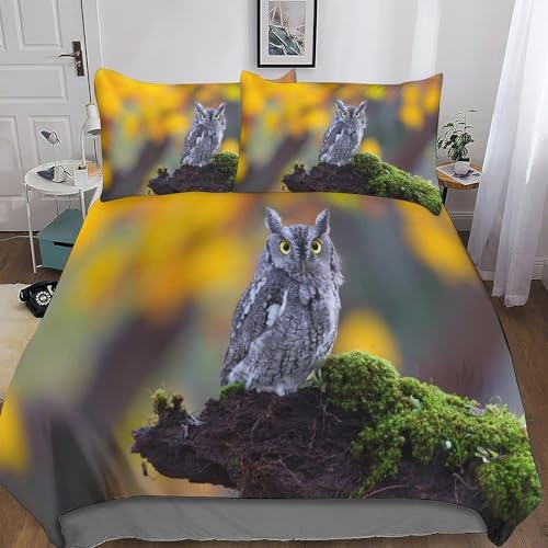 TACOKI Bettwäsche 155x220 Eule, 3D Muster Eule Bettwäsche Set Weich Kuschelig Mikrofaser Bettbezug mit Reißverschluss Bettbezüge + 2 Kissenbezug 80x80 cm e2799 von TACOKI