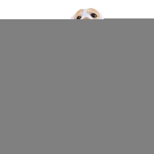TADAYIM Hunde Halloween Kostüme,weiße Kostüme für Hunde - Gruseliges Partyoutfit Für Welpen Und Katzenbabys Als Fotozubehör TADAYIM Hunde Halloween Kostüme,weiße Kostüme für Hunde - Gruseliges Partyoutfit Für Welpen Und Katzenbabys Als Fotozubehör von TADAYIM