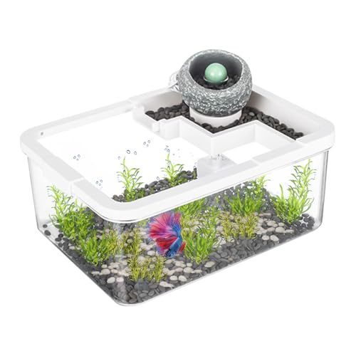 TADAYIM Kleines Aquarium | Miniatur-Tank-Dekoration für den Innenbereich, antikes Hydrokultur-Beleuchtungs-Aquariensystem mit USB-Pumpe für Betta, , Quallen, Aquaponics, Schlafzimmer TADAYIM Kleines Aquarium | Miniatur-Tank-Dekoration für den Innenbereich, antikes Hydrokultur-Beleuchtungs-Aquariensystem mit USB-Pumpe für Betta, , Quallen, Aquaponics, Schlafzimmer von TADAYIM