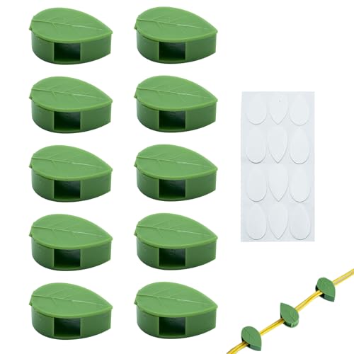 TADAYIM Pflanzen Ranken Wand Clips - 10 Stück Unsichtbare Kletterpflanzen Wandclips - Zubehör Für Fensterbank Gewächshaus Balkon TADAYIM Pflanzen Ranken Wand Clips - 10 Stück Unsichtbare Kletterpflanzen Wandclips - Zubehör Für Fensterbank Gewächshaus Balkon von TADAYIM