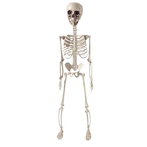 TADAYIM Skelett Deko, 60cm Skelett Deko Figur, Klappbarer Schädel Menschliche Knochenfigur Für Frauen Büro Partydekoration von TADAYIM
