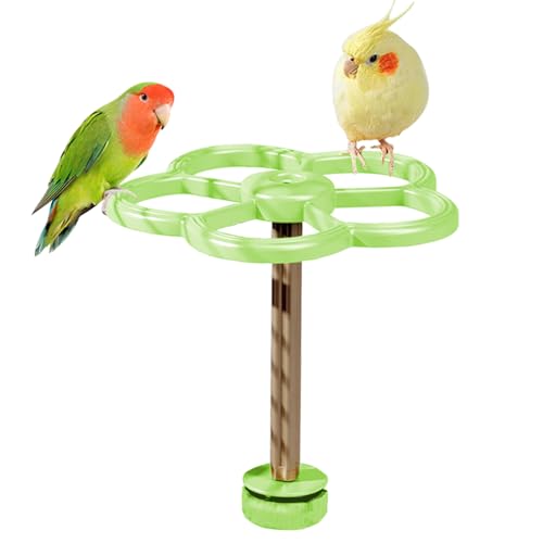 TADAYIM Vogel Sitzstange Ständer - Intelligentes Windspiel Spielzeug - Interaktiver Vogelkäfig Spielstand Für, Sittiche Und Kanarienvögel Zur Krallenpflege von TADAYIM