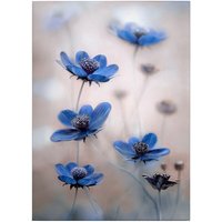 Leinwandbild Blumen Floral 70 x 50 cm - Wandbild Blau Weiß - Keilrahmen Natur Wohnzimmerdeko Wanddeko Wandgemälde - Weiß, Rosa von TADESSI