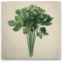 Leinwandbild Küchenmotiv Sellerie M1-No.51862 - Kunstdruck auf Leinwand in Creme Beige - Wandbild 30 x 30 cm Leinwandbild Küchenmotiv Sellerie M1-No.51862 - Kunstdruck auf Leinwand in Creme Beige - Wandbild 30 x 30 cm von TADESSI
