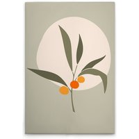 Leinwandbild Olivenzweig Modern M1-No.51453 - Kunstdruck auf Leinwand in Grün Creme - Wandbild 30 x 45 cm Leinwandbild Olivenzweig Modern M1-No.51453 - Kunstdruck auf Leinwand in Grün Creme - Wandbild 30 x 45 cm von TADESSI