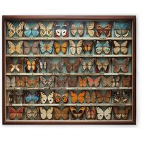 Leinwandbild Schmetterling Setzkasten M1-No.52173 - Kunstdruck auf Leinwand in Bunt Braun - Wandbild 50 x 40 cm Leinwandbild Schmetterling Setzkasten M1-No.52173 - Kunstdruck auf Leinwand in Bunt Braun - Wandbild 50 x 40 cm von TADESSI