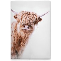 Leinwandbild Tiere Kuh M1-No.51136 - Kunstdruck auf Leinwand in Weiß Braun - Wandbild 30 x 45 cm Leinwandbild Tiere Kuh M1-No.51136 - Kunstdruck auf Leinwand in Weiß Braun - Wandbild 30 x 45 cm von TADESSI