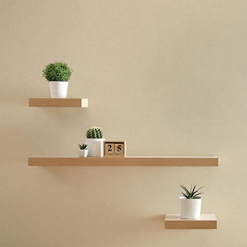 TADESSI Tapete Uni M1-No.1003 Vliestapete Beige Unitapete Einfarbig für Wohnzimmer Schlafzimmer Küche von TADESSI