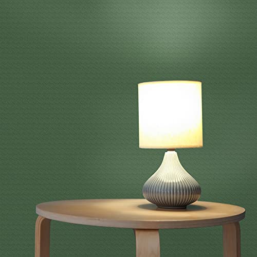 TADESSI Tapete Uni M1-No.1035 Vliestapete Grün Unitapete Einfarbig für Wohnzimmer Schlafzimmer Küche von TADESSI
