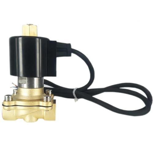 1" IP68 Wasserdichtes Schließer-Messingbrunnen-Magnetventil 110V 24V 12V 24V Magnetventil for Unterwasser(120VAC) von TADZKKIWM