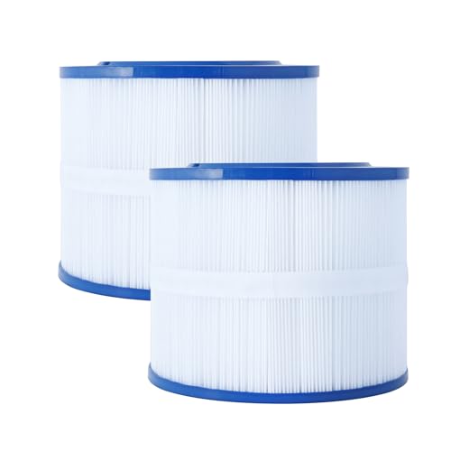 TALANDO 10-00282 Bullfrog Filter - Spa Filter Ersatzkartusche kompatibel mit Bullfrog SPA Filter, Spa Whirlpool Filter Ersatz für Pleatco PBF40 und PBF40M, 2 Packungen, Weiß von TALANDO