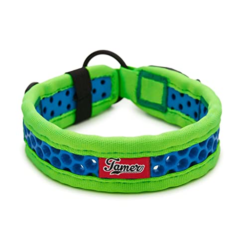 TAMER Softy Halsband | Breite 3,3cm | Umfang 35-41cm | grün/blau von TAMER