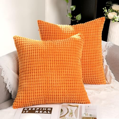 TAN.TOMI Kissenbezug 60x60, Kissenbezüge Kord Uni 2er Set, Kissenhülle Pillow Cover für Zierkissen Dekokissen Sofakissen Couchkissen in vielen Farben. von TAN.TOMI