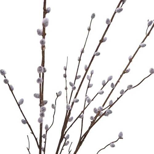 TANGPINGMAO Künstliche Weidenkätzchenzweige, 3 Stück, realistische 101 cm Lange Weidenkätzchen, DIY-Dekorationsweidenzweige für Vasen, Hochzeitsfotografie-Requisite, Heimdekoration TANGPINGMAO Künstliche Weidenkätzchenzweige, 3 Stück, realistische 101 cm Lange Weidenkätzchen, DIY-Dekorationsweidenzweige für Vasen, Hochzeitsfotografie-Requisite, Heimdekoration von TANGPINGMAO