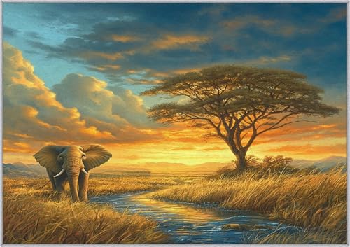 TANTANICAL Elefant Teppich Eingangsbereich Innen, Fußmatte Klein 60x90, Afrikanisch Tier Motiv Design Teppich Eingang Schlafzimmer, Waschbar, rutschfest, Kurzflor, Weich (JF87) von TANTANICAL