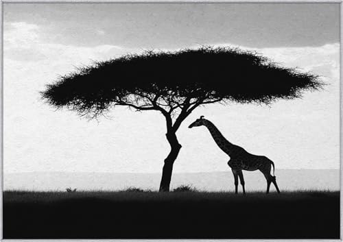TANTANICAL Giraffe Teppich Wohnzimmer, 160x220, Schwarz Weiß Motiv Design Schlafzimmer Zimmer Deko Teppich, Waschbar, rutschfest, Kurzflor, Weich (M67) von TANTANICAL