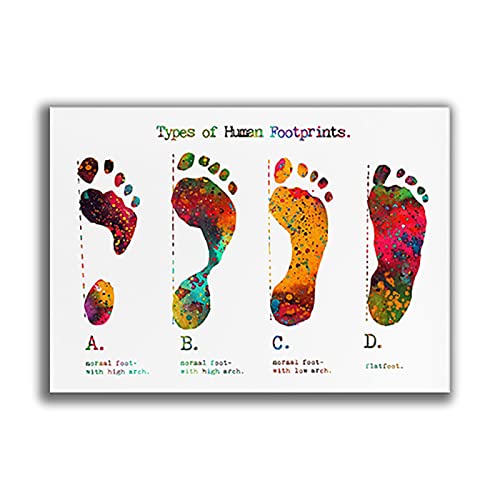 Arten Von Fußabdrücken Orthopädie Kunst Podologie Dekoration Biologie Poster, Medizinische Geschenke, Aquarelldrucke 50X70Cm Kein Rahmen Arten Von Fußabdrücken Orthopädie Kunst Podologie Dekoration Biologie Poster, Medizinische Geschenke, Aquarelldrucke 50X70Cm Kein Rahmen von TANYANG